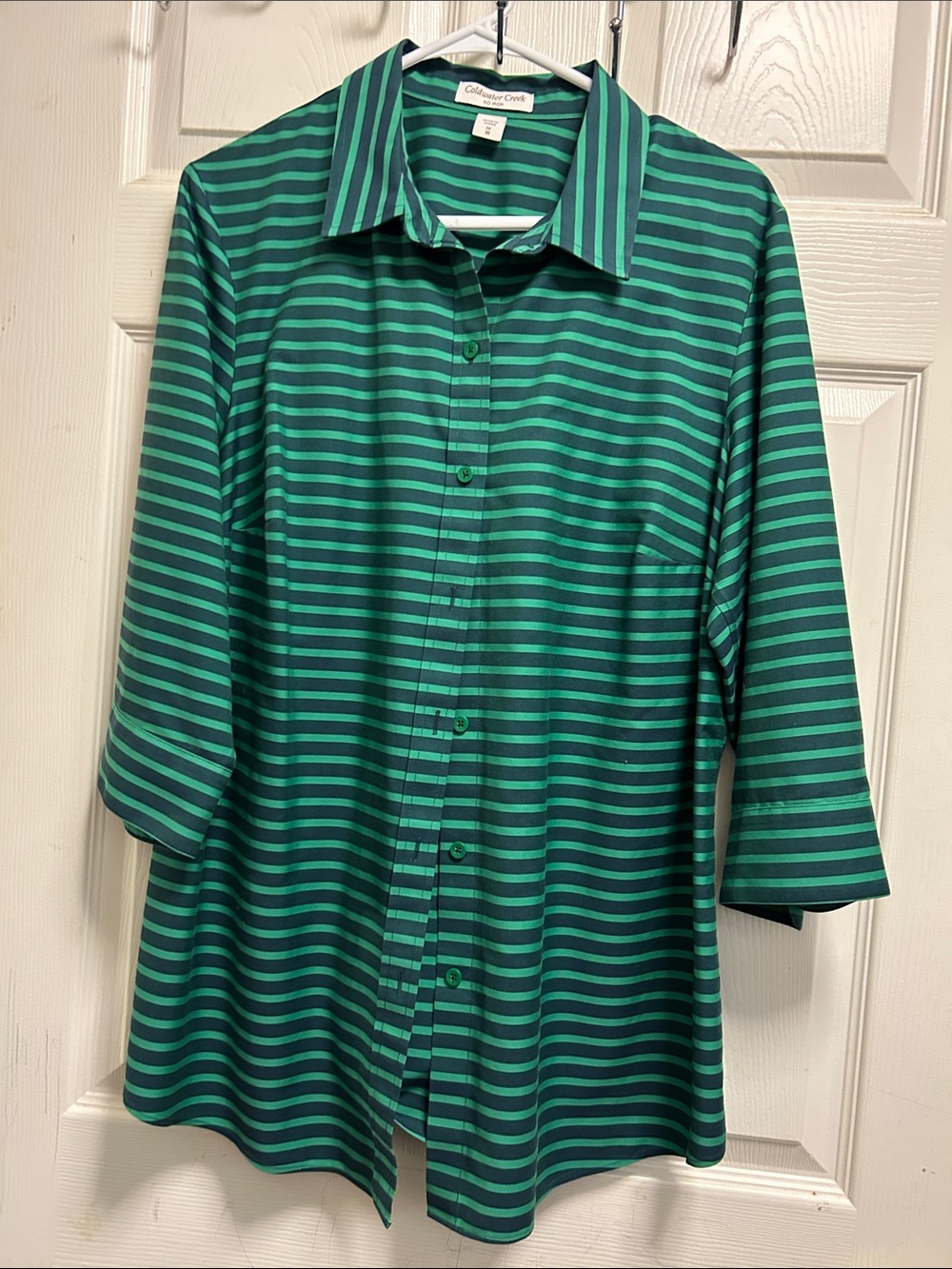Coldwater Creek Green Striped Button-Down Shirt